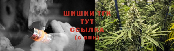 гидропоника Бугульма