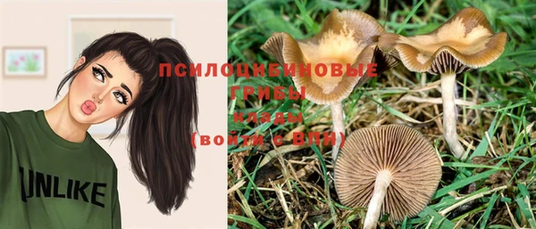 MDMA Бородино