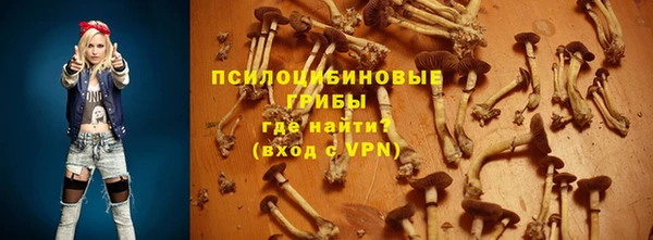 герыч Бронницы